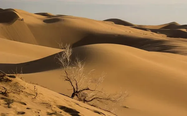 تور اقتصادی کویرگردی در مرنجاب و ورزنه