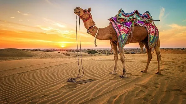 تور اقتصادی کویرگردی در مرنجاب و ورزنه