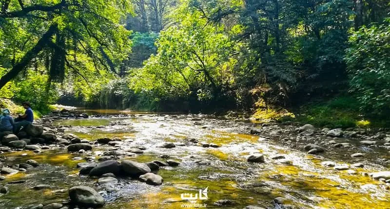 تور یک روزه جنگل و آبشار پلنگ دره | قیمت عالی